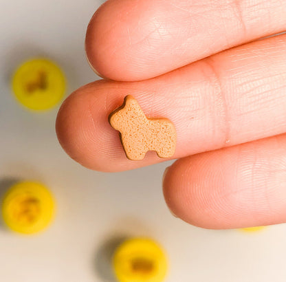 Mexican Traditions Micro Cutters